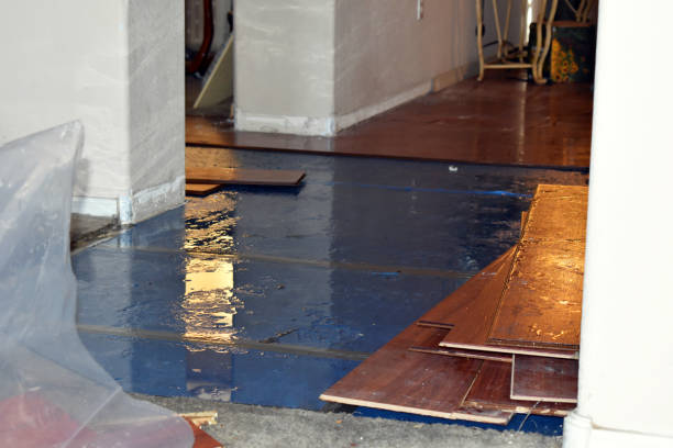 Professional Burst Pipe Cleanup technician working in Pearlington, MS